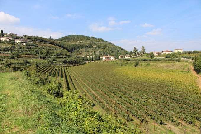 Villa Spinosa image 1