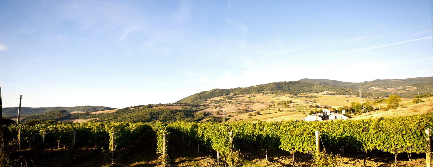 Azienda Agricola Cianfagna image 1