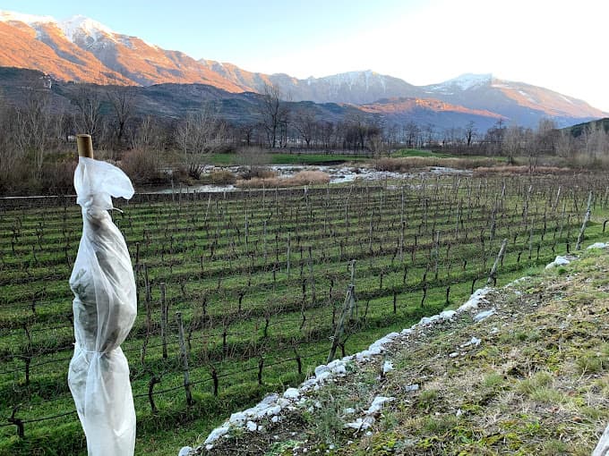 Azienda Agricola Salvetta image 1