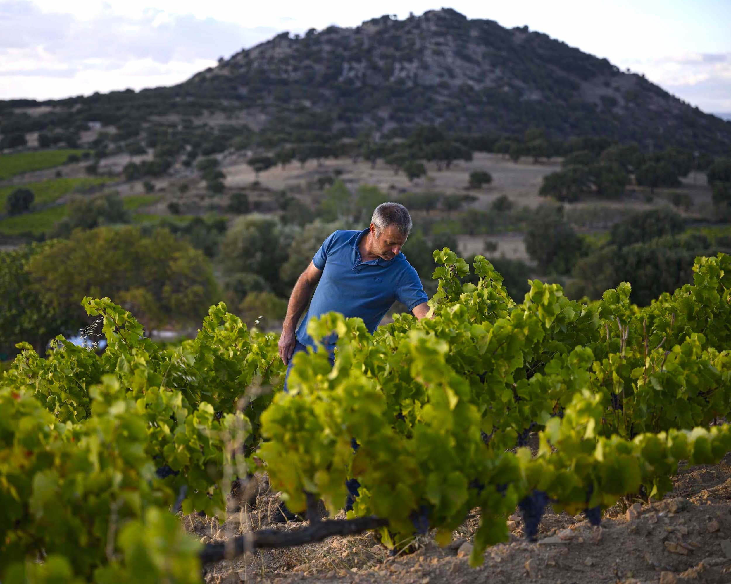 Francesco Cadinu image 1